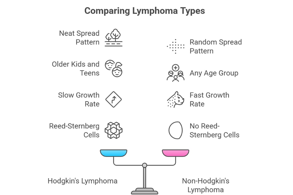 Hodgkin’s vs Non-Hodgkin’s Lymphoma: Quick Breakdown