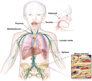 paediatric oncologist 